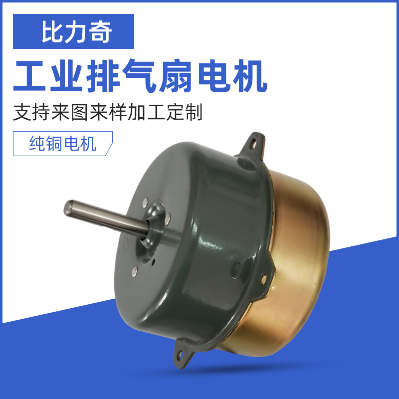 Professional customized pure copper motors